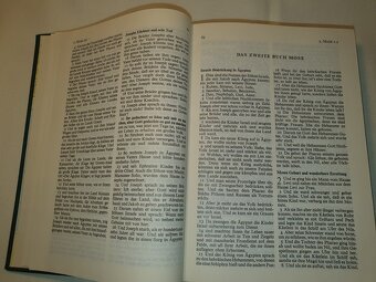 BIBEL / Biblia - 16