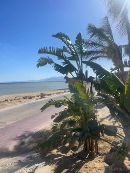 Apartmany na golfu Soma bay Egypt - 16
