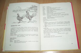 Plemená drubeže – Príručka pro chovatele drubeže, časť III - 16