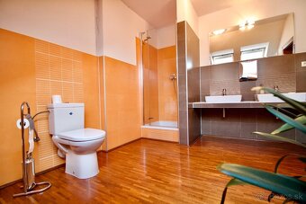 Kancelársky priestor 240 m2 + terasa - 16