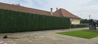 Čistenie pozemkov-údržba záhrad - 16
