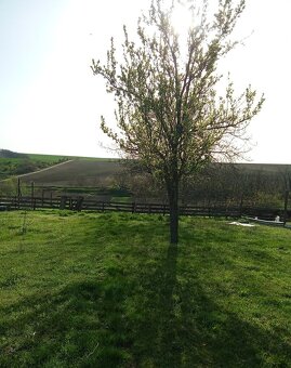 Na predaj rodinný dom Zemianske Sady okr. Galanta - 16