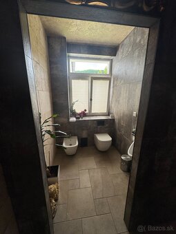Luxusná Kúria pri Trenčíne – 14 Izieb, 5700 m² Pozemok - 16