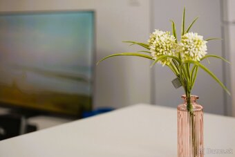 PRENÁJOM 1 i byt - Nad Jazerom - 16