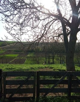 Na predaj romantická vidiecka chalupa - Zemianske Sady - 16