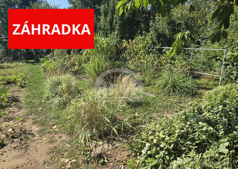 4- izbový byt so záhradkou v TOP lokalite mesta Michalovce - 16