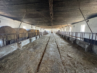 NOVINKA - Rodinná farma na vyše 2,5 hektároch pri Komárne - 16