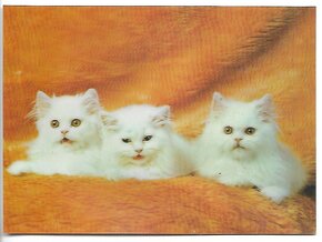 3D pohľadnice (61-80 ), čisté v top stave, 1 ks za 1 € - 16