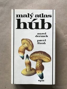Jóga, Huby, Včelia materská kašička, Queen, Veľká kniha o - 16