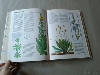 Pestrá priroda - 16