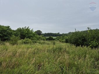 3-izbový RD na 34-árovom pozemku v Šarovciach - 16