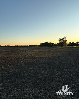 Na predaj pozemky s chatkou medzi mestom Šurany a Palárikovo - 16