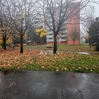 Predaj: Veľká garsónka s balkónom a výhľadmi (AVILA) - 16