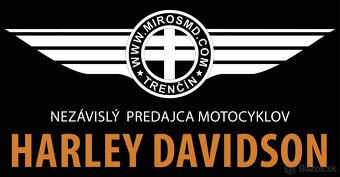 HARLEY DAVIDSON FLHX CUSTOM SPECIAL AIRBRUSH - 16