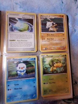 Pokémon Album - 16