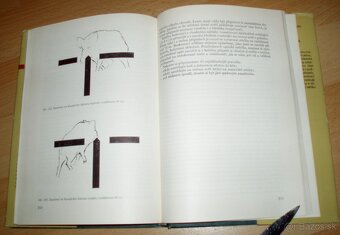 Lovecká střelba - 16