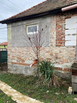 Predám dom Jelenec - 16