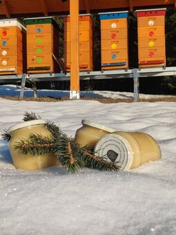 Domáci včelí med z Turčianskej záhradky - 16