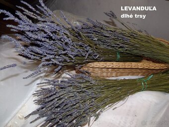 SUŠENÉ KVETY NA ĎALŠIU TVORBU - 16