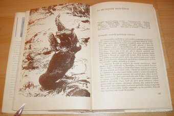 Lovy v Karpatech - 16