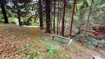 Stýlová retro drevenica s veľkým pozemkom Králiky - 16