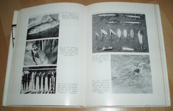 Hlavátka - 16