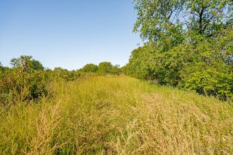 NOVÁ CENA - Viničný dom pri Leviciach -30 000€ - 16