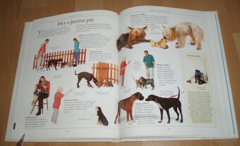 Výchova a výcvik psa - 16