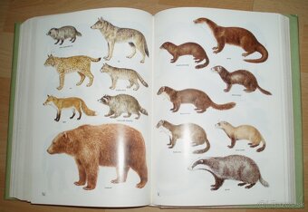 Poľovnícky náučný slovník - 16