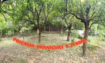 VÝBORNÁ CENA  RD pri lese s pozemkom 1420m2 v Nitrici pri P - 16