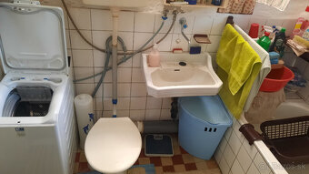 Vidiecky dom a záhrada. - 16