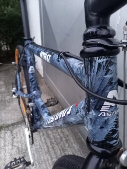 Asama mtb - 16
