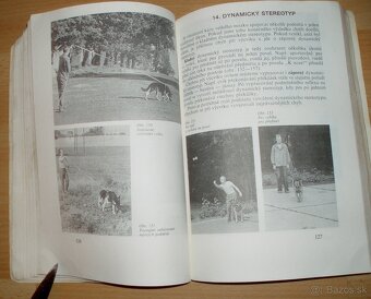 Pes a jeho výcvik - 16