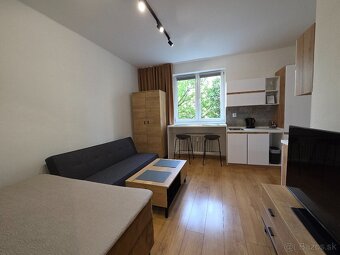 Krárkodobý Prenájom-Apartmán v BB - od 3 hod. - 16
