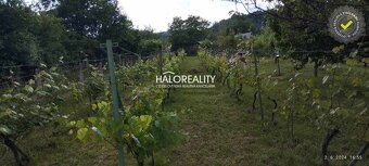 HALO reality - Predaj, rekreačný pozemok Krupina, Stará hora - 16