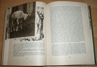 Poľovníctvo v obrazoch - 16