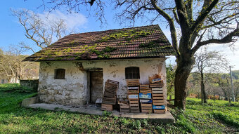 NA POLOSAMOTE RODINNÝ DOM, STODOLA a POZEMOK 4273 m2 PRIETRŽ - 16