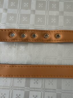 Obojk+vodítko Louis Vuitton - 16