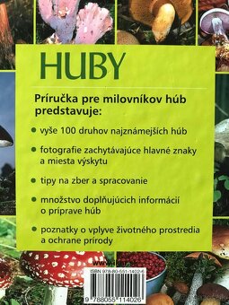 Čičmany, Bratislava zadným vchodom 1918 -2005, Spiritismus - 16