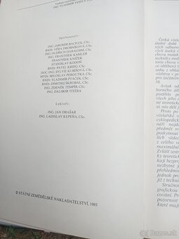 Včela vcelarstvo - 16