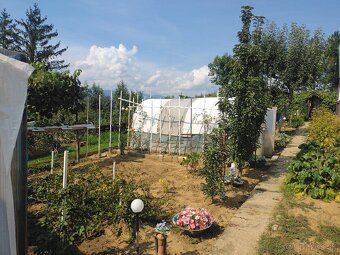 Záhrada s chatou Prievidza - 16