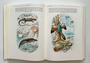 Nádherná séria encyklopédií - 16