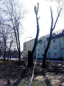 Kosenie, Oplotenie, Rizikove pilenie, Ovoc. rez, Zive ploty - 16