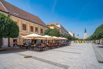 Na predaj plne fungujúce a zariadené štúdio priamo v centre - 16