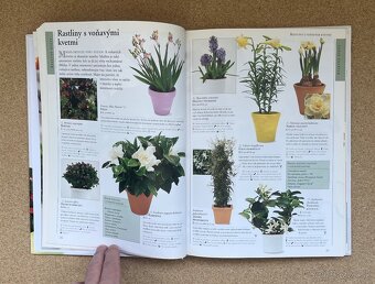 Knihy Príjemný Život s Kvetinami Obľúbené Izbové Kvety - 16