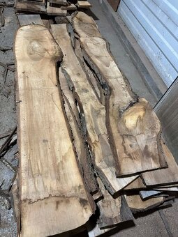 Vysušené orechové dosky, orech, VÝPREDAJ - 16