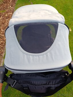 PETITE&MARS Royal Silver Iron Green - 16