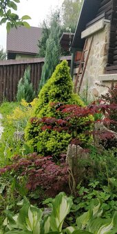 Chata pri Lese Dubina V. - 16