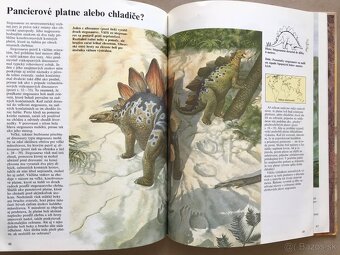 Biblické príbehy, Čarovná Rozprávkarka, Vedomosti v Kocke - 16
