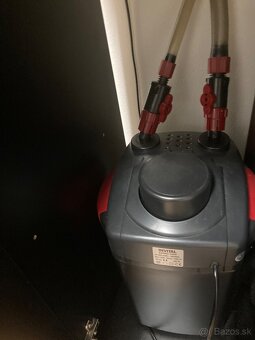 Akvarium, rybičky, rastlinky - 16